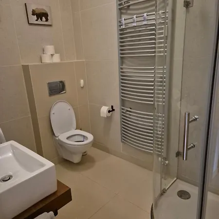 Apartment High Tatras J303 *